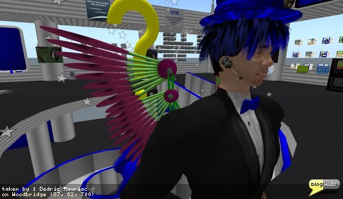 Scripting Korii's Mech Wings